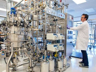 Optimizing Fermentation