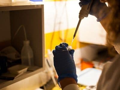 Arzeda and TeselaGen Partner to Advance Biodesign Technologies for Industrial Biotechnology