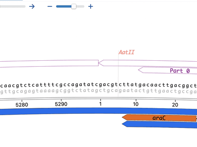 Open Vector Editor – Circular View Zoom