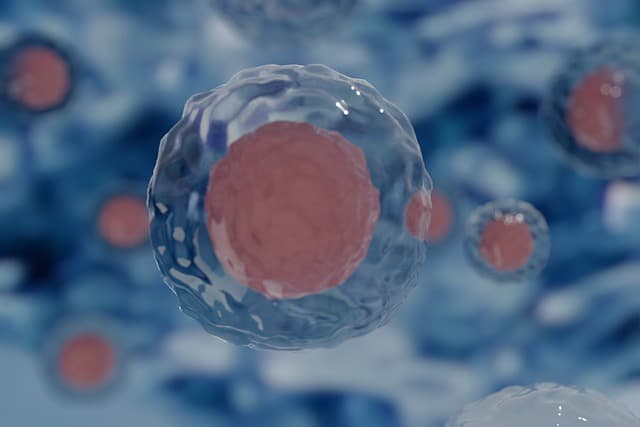 Machine Learning and Synthetic Biology used to Optimize a Cellular Factory for Industrially Relevant Products