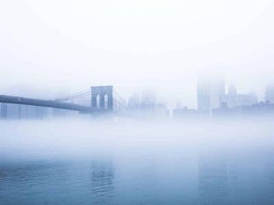 TeselaGen Wins NSF SBIR Award