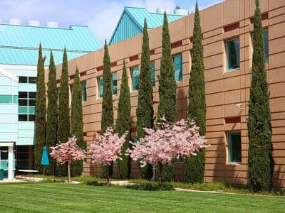 TeselaGen Wins Bio-IT World's 2013 Best Practices Award