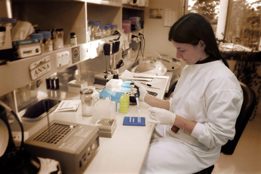 CSIRO scientist preparing DNA fragments