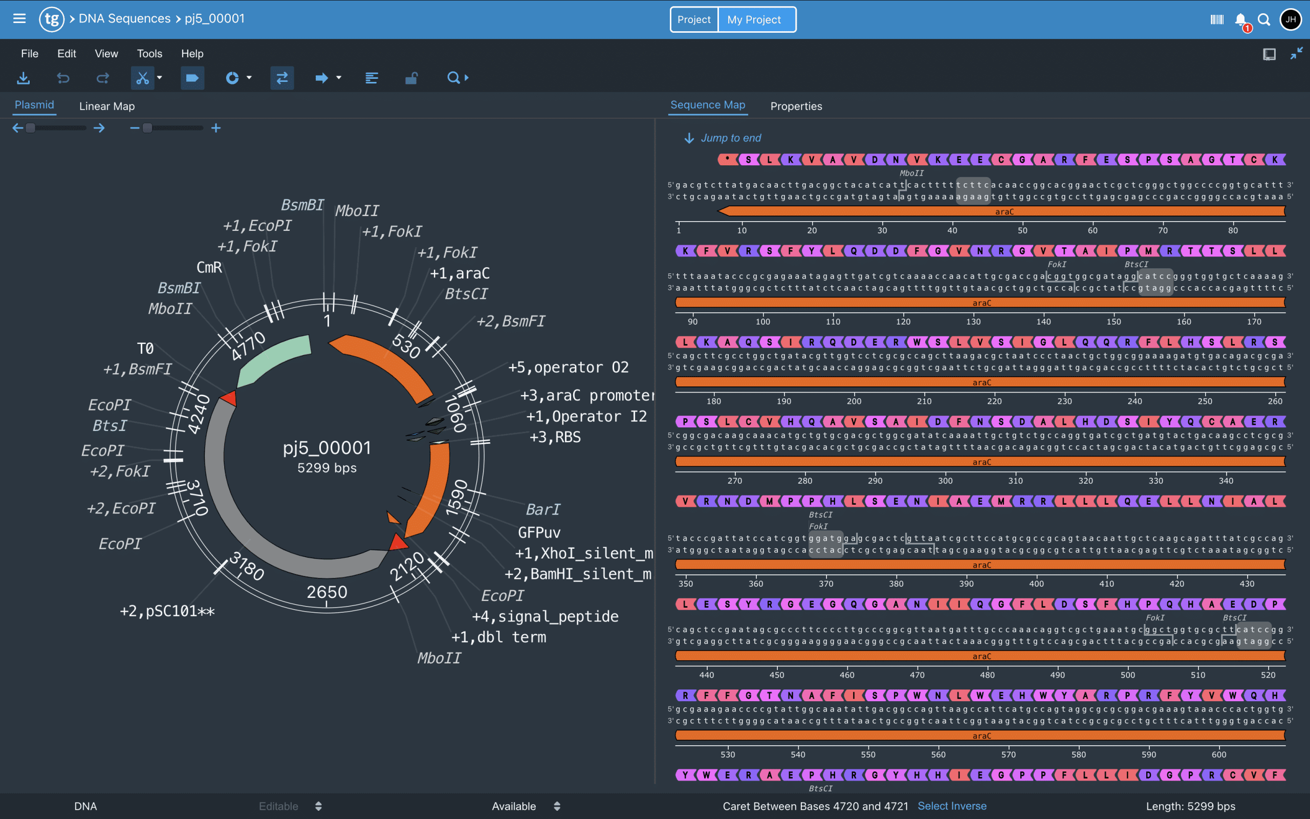 Sequence alignment visualization in TeselaGen