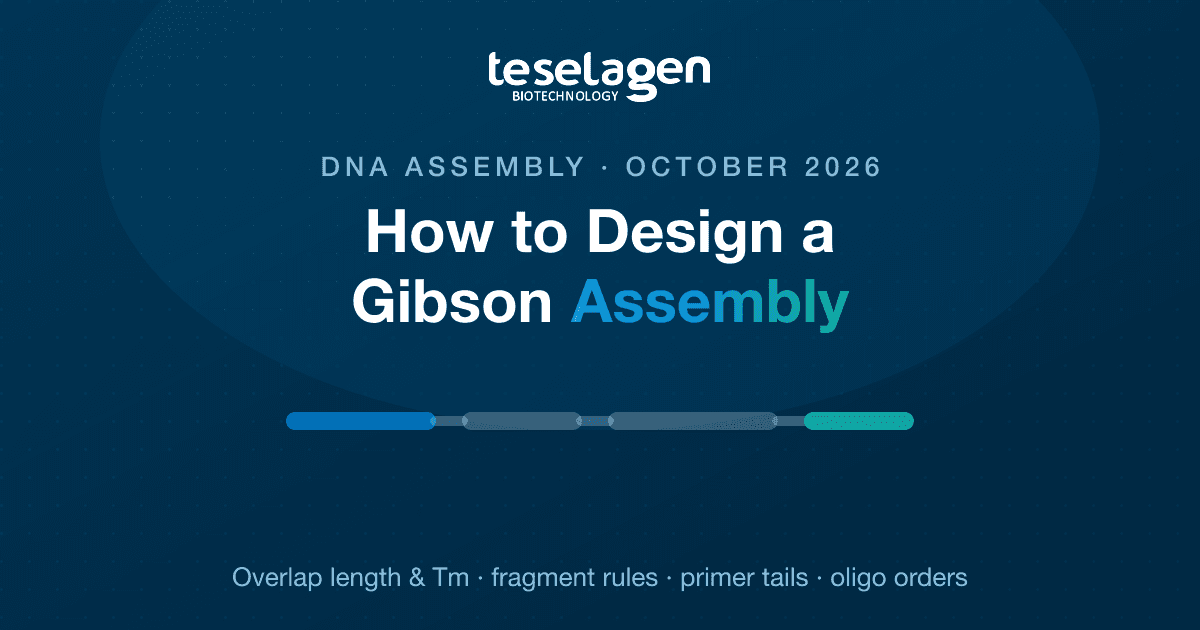 How to design a Gibson assembly: overlap length and melting temperature, fragment rules, primer tails and common failure fixes.