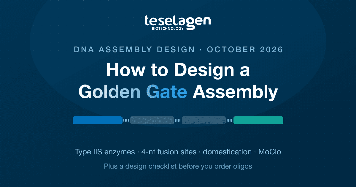 How to design a Golden Gate assembly: Type IIS enzymes, fusion-site overhangs, domestication, MoClo standards and a design checklist.