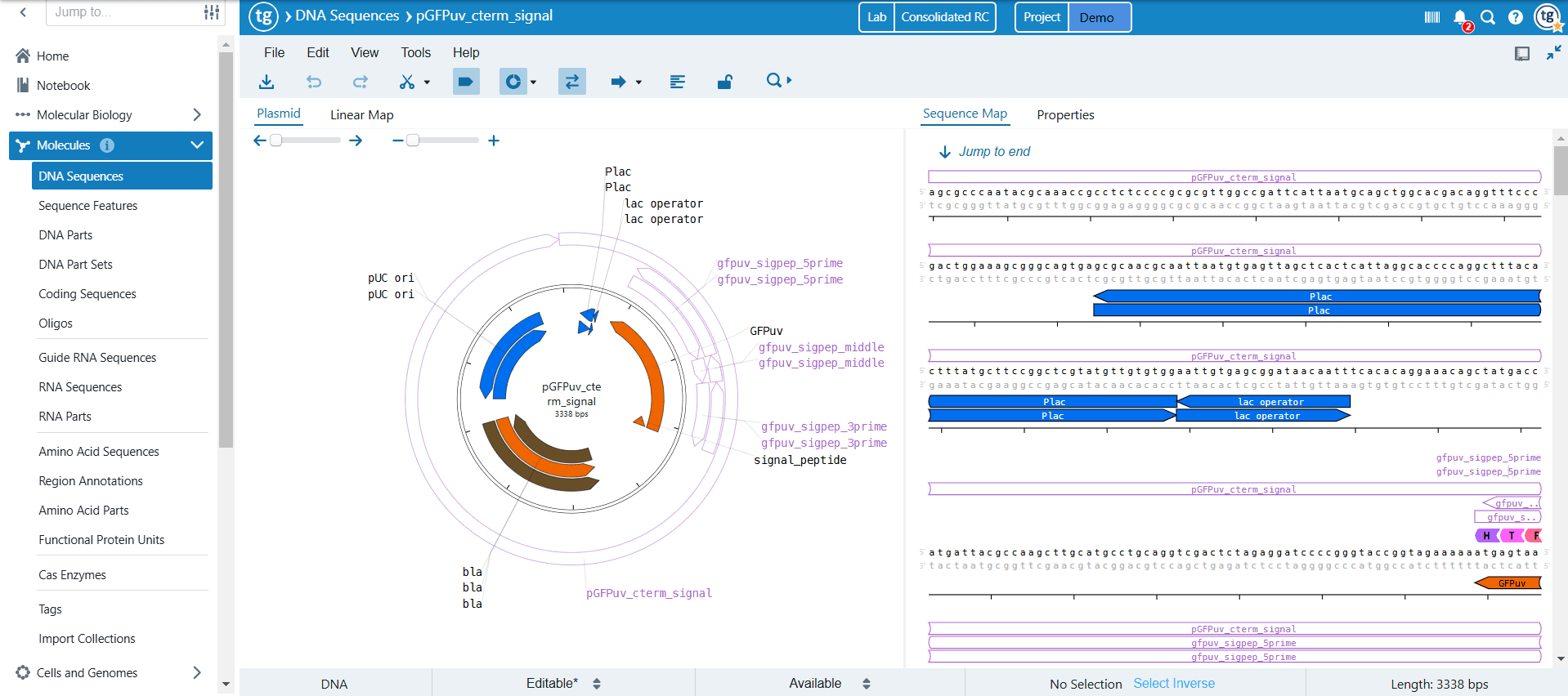 TeselaGen Open Vector Editor — Circular plasmid map and linear sequence view