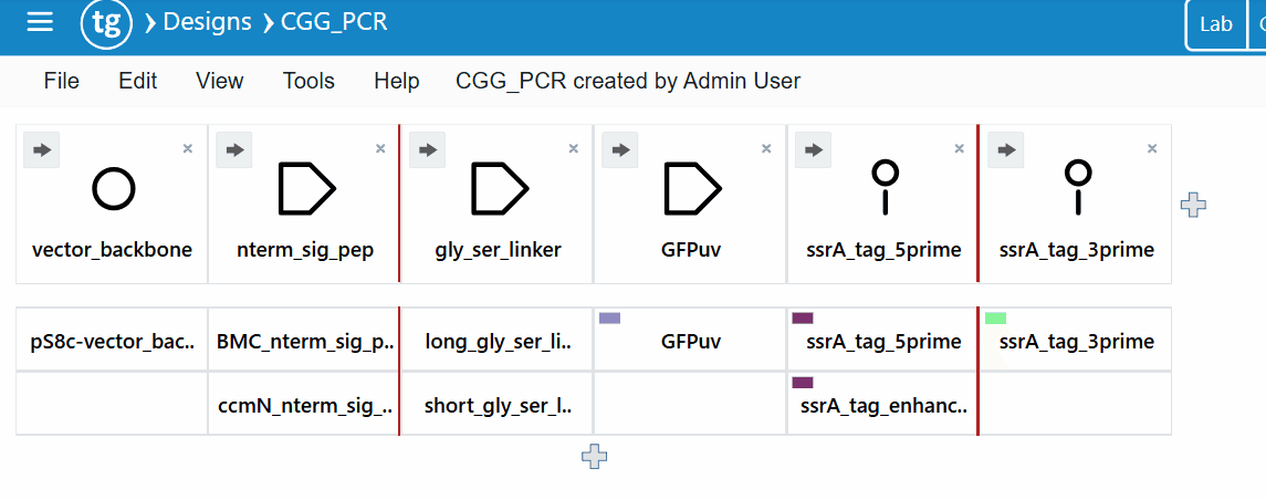 Combinatorial Golden Gate DNA Assembly Report with auto-generated protocol