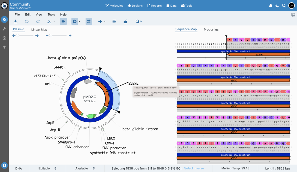 pMD2 G plasmid visualized in TeselaGen's Free Community Edition