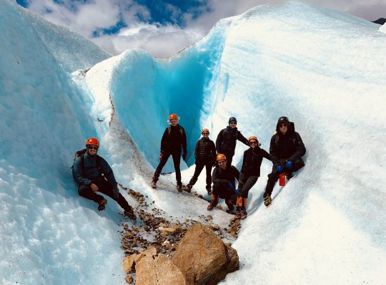 TeselaGen Team Glacier